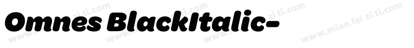 Omnes BlackItalic字体转换